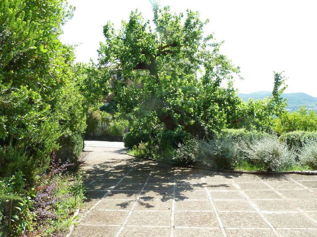 Agriturismo La Vecchia Quercia San Cipriano Picentino Pokoj fotografie