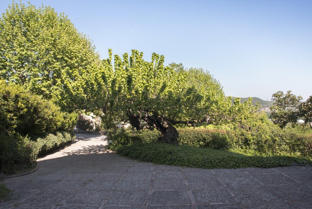 Agriturismo La Vecchia Quercia San Cipriano Picentino Exteriér fotografie