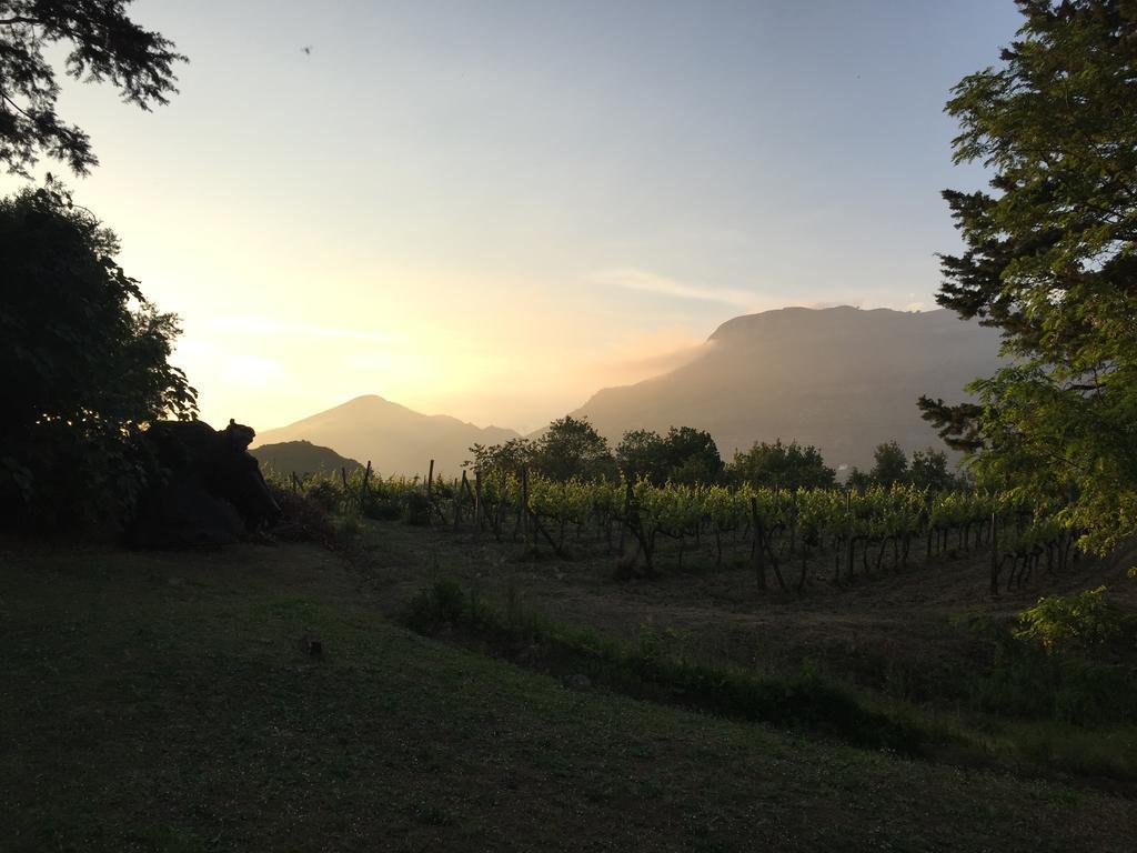 Agriturismo La Vecchia Quercia San Cipriano Picentino Exteriér fotografie