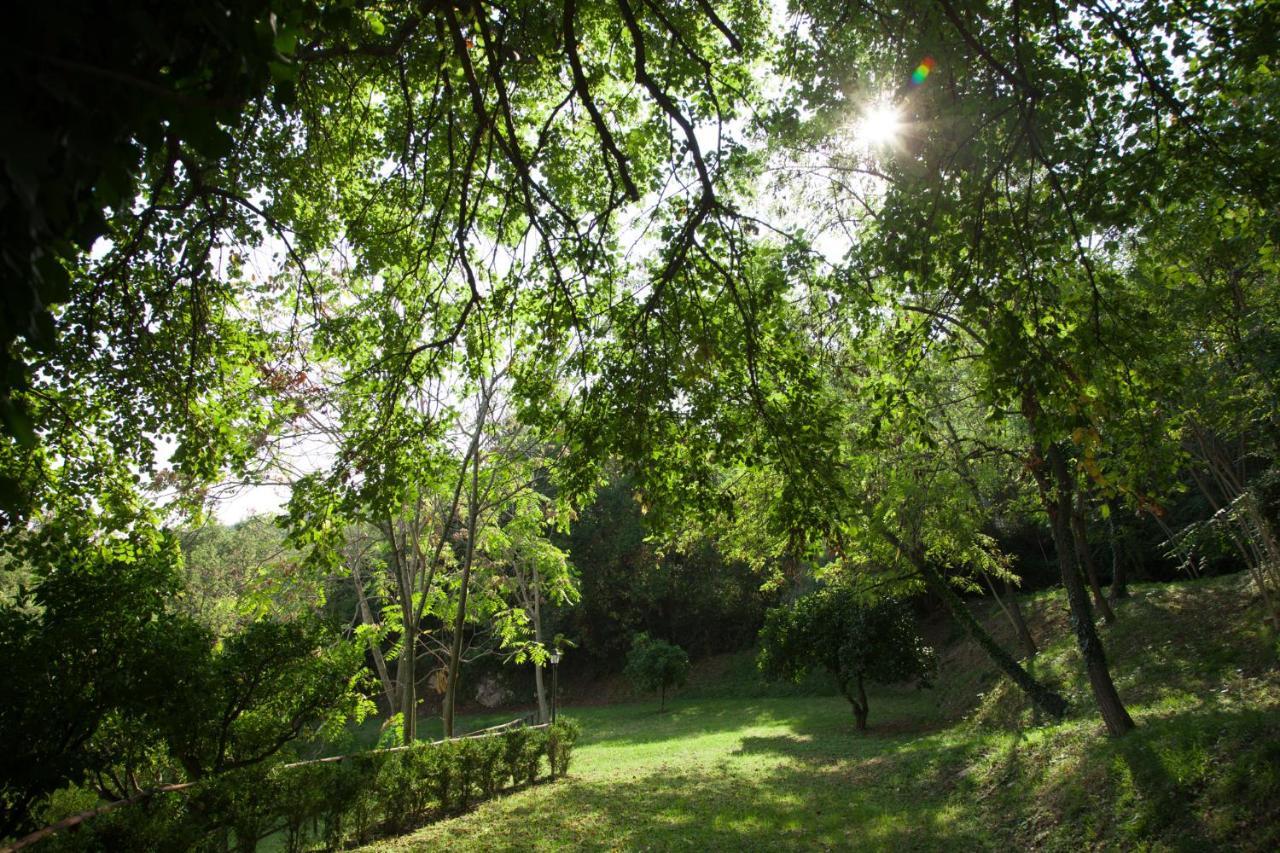 Agriturismo La Vecchia Quercia San Cipriano Picentino Exteriér fotografie