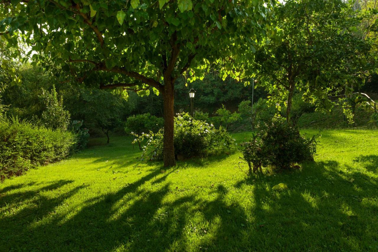 Agriturismo La Vecchia Quercia San Cipriano Picentino Exteriér fotografie
